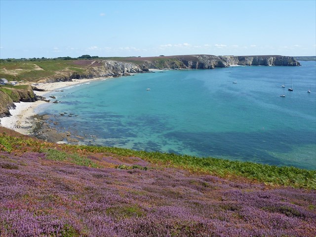 5e2c5dd9-b518-4802-985b-3a8054271ac9_l