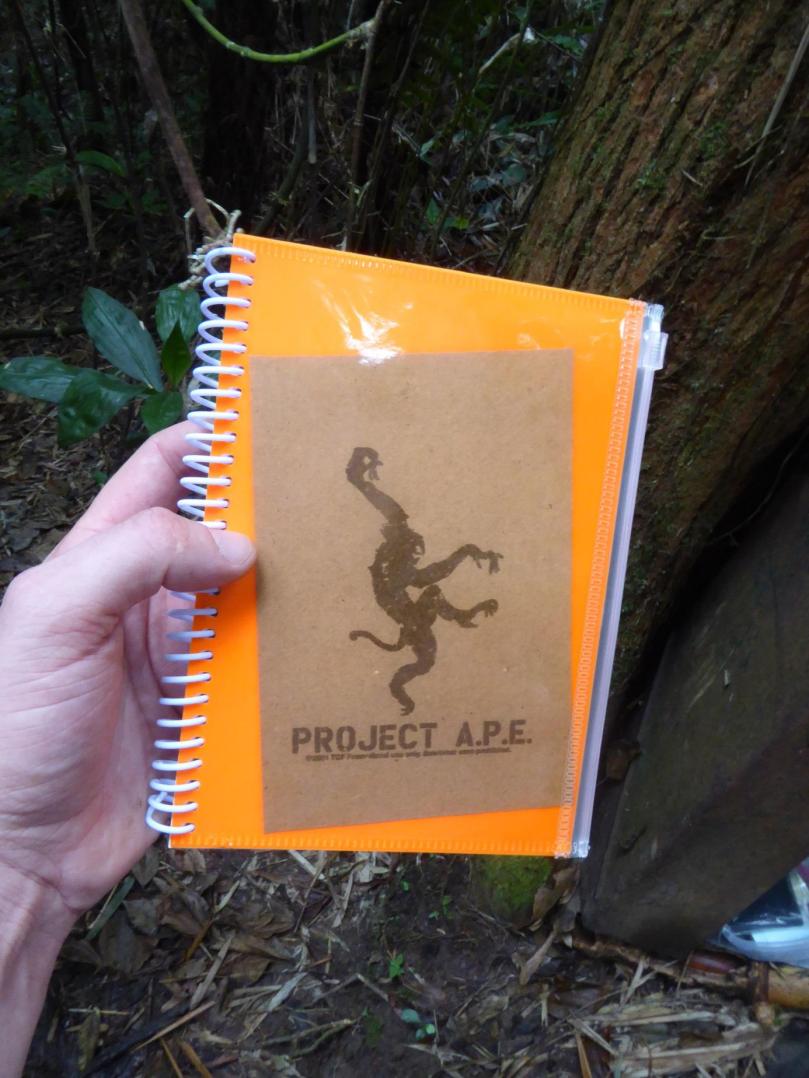 logbook ape